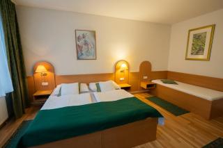 Hotel Na Pekárně - Sušice - 1
