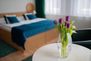 Hotel Na Pekárně - Sušice - 8