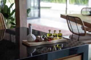 Ananta Private Pool Villa Canggu by OXO - Munggu - 1