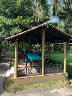 Tiger Residency Resort - Sauraha - 8