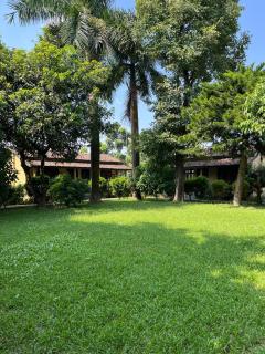 Tiger Residency Resort - Sauraha - 7