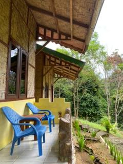 Gate to Nature - guesthouse and jungle trek - 2