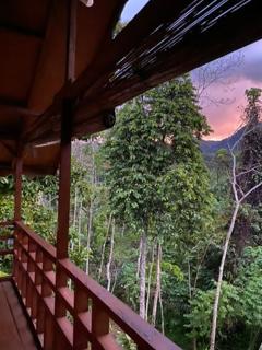 Gate to Nature - Bukit Lawang - 5