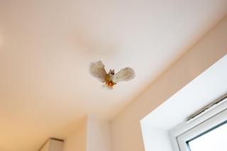Spacious 1-BR Flat in Watford Warner Bros Studio - Watford - 8