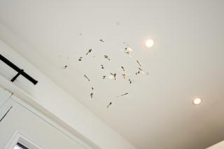 Spacious 1-BR Flat in Watford Warner Bros Studio - Watford - 9
