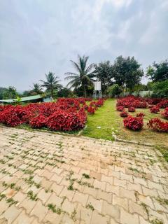 The Fairy Tale Farms - 8