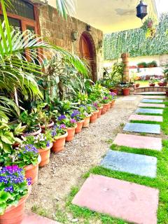Camellia Heritage Homestay - Jaipur - 7