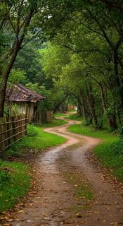 Freedom Safari villa - 2