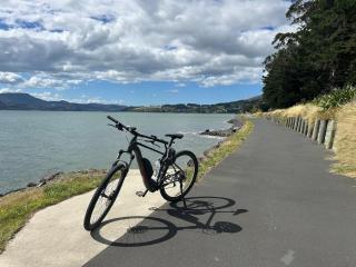 Harbour Hideaway - Dunedin - 1