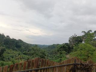 Royal Valley Apartment - 2