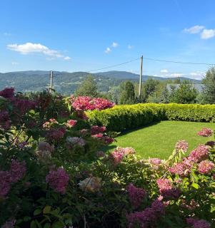 Rezydencja Zawoja - 9