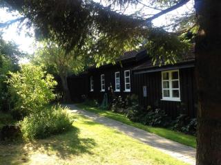 Lovely Holiday Home Near Vejby Strand - 8