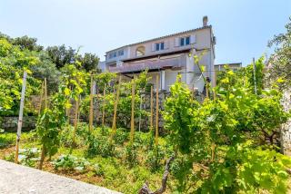 Vedro Kanica - Rogoznica - 2