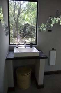 Klein Eden Forest - 6