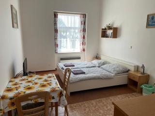 Apartmánový dům Obecná škola - 5