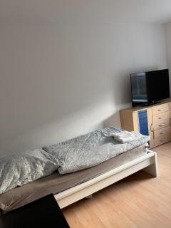 Wunderschöne Ferien- und Monteurswohnung südlich von Leipzig in Böhlen Nähe A72 - 1