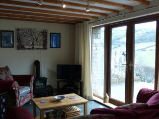 Dan Castell Cottage - Llandeilo - 6