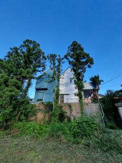 대마도쇼핑구마에하우스 - 9