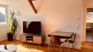 Helle Dachgeschoßwohnung am Weinberg-Campus - Halle an der Saale - 7