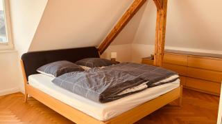 Helle Dachgeschoßwohnung am Weinberg-Campus - Halle an der Saale - 5