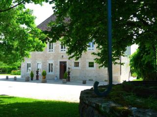 Luxury 5-star mansion, hotel services included, swimming pool, tennis, bowling - Les Nappes - 7