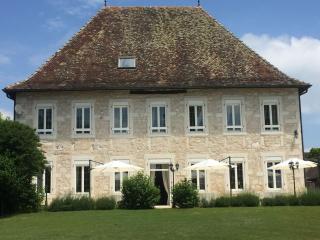 Luxury 5-star mansion, hotel services included, swimming pool, tennis, bowling - Les Nappes - 3