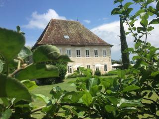 Luxury 5-star mansion, hotel services included, swimming pool, tennis, bowling - Les Nappes - 2