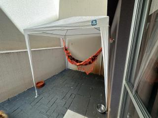 Apartamento Região Central, próximo á USP1 - São Carlos - 1