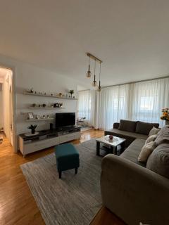 MANHATTAN APARTMAN Belvil - Belgrado - 1