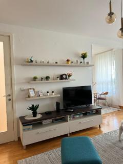 MANHATTAN APARTMAN Belvil - Belgrado - 3