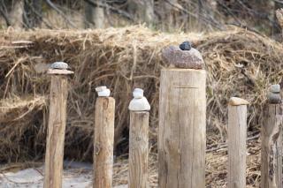 Friederike 2 - 6