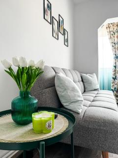 Alegria Studio - Petroşani - 7