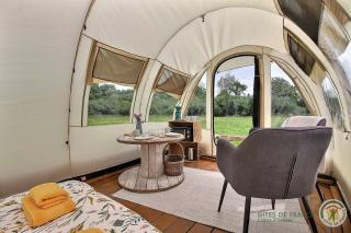 La caleche de kergomar - 3