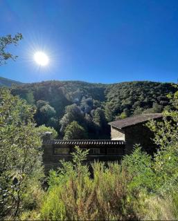 Mas Cévenol, bain nordique, piscine, vue nature - 7
