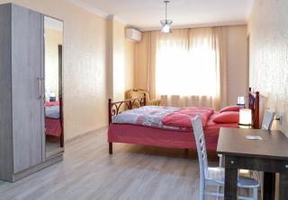 Hotel MASPINDZELO - Kutaisi - 1