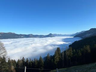 Neues 2 Zimmer Studio am Fusse des Niesen am Thunersee - Aeschi bei Spiez - 1