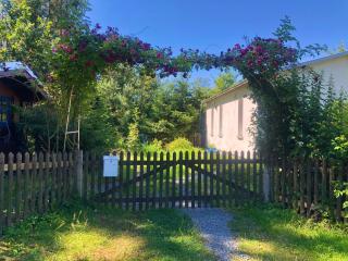 Hundeurlaub im Tiny House im Wald - Tanna - 9