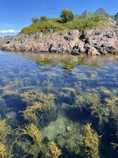 New, modern house in beautiful Skrova, Lofoten - 1