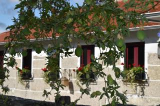 Quinta da Quinta - Vieira do Minho - 3