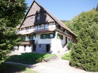 Börsighof, 54qm - Seebach - 9
