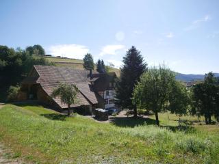 Börsighof, 54qm - Seebach - 2