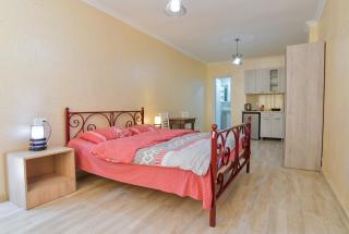 Hotel MASPINDZELO - Kutaisi - 3