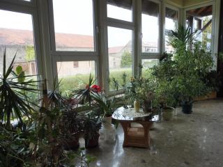 Nette Wohnung Mit Garten, Grill Und Pool - Radewege - 6