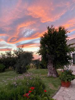 Casa Anna, agriturismo alla Castellana - Gallipoli - 4