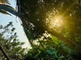 Dunitha Villa - Surrounded by Greenery - 4