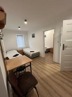 Apartamenty Ścinawa - Ścinawa - 4