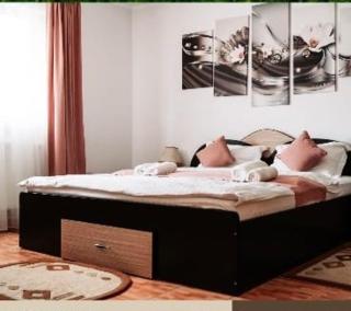 Vila Alina Calimanesti - Călimăneşti - 4