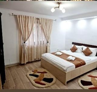 Vila Alina Calimanesti - Călimăneşti - 5