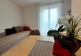 Fröhlichhof Wohnung Apfelblüte - Algund - 3