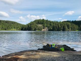 Fredelig og landlig hytte - Iveland - 3